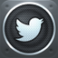 Twitter app icon