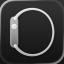 Watch app icon