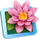 LilyView app icon