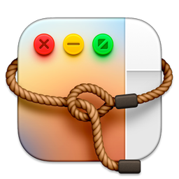Lasso app icon