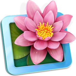 LilyView app icon
