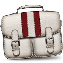 Mental Case app icon