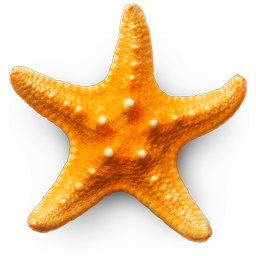 Sandy Beach 3D app icon