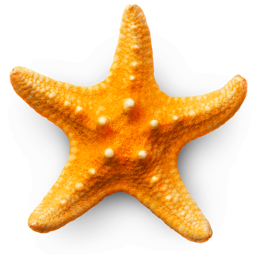 Sandy Beach 3D app icon