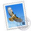 Mail app icon
