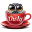 Owly - Display Sleep Prevention app icon