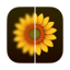 Photo Refinery: Image Upscaler app icon